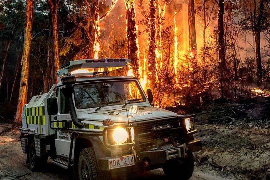 Trees are shown in flames behind a Forest Fire Management vehicle.