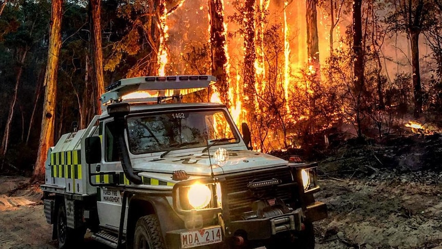 Trees are shown in flames behind a Forest Fire Management vehicle.