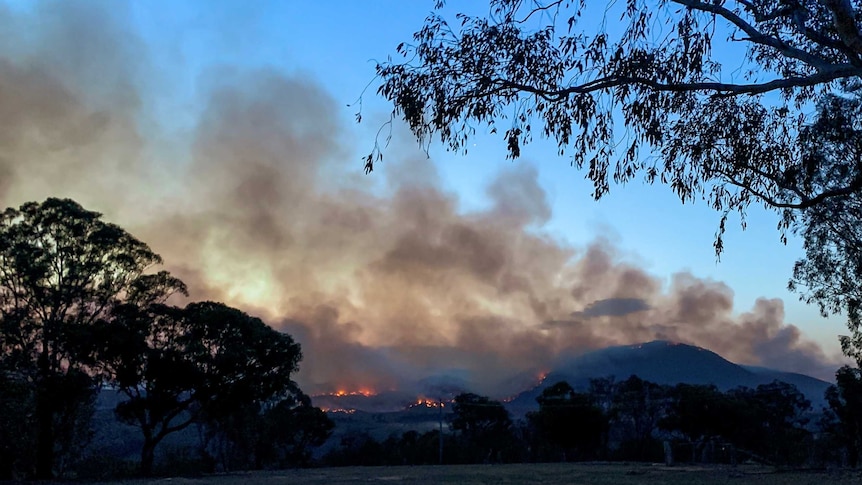 Smokes rises from a valley full of flames.