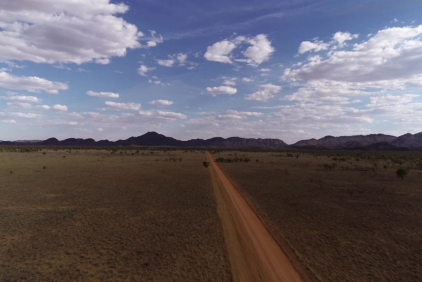 A dirt road disappearing into the horizon on a vast plan in the Northern Territory