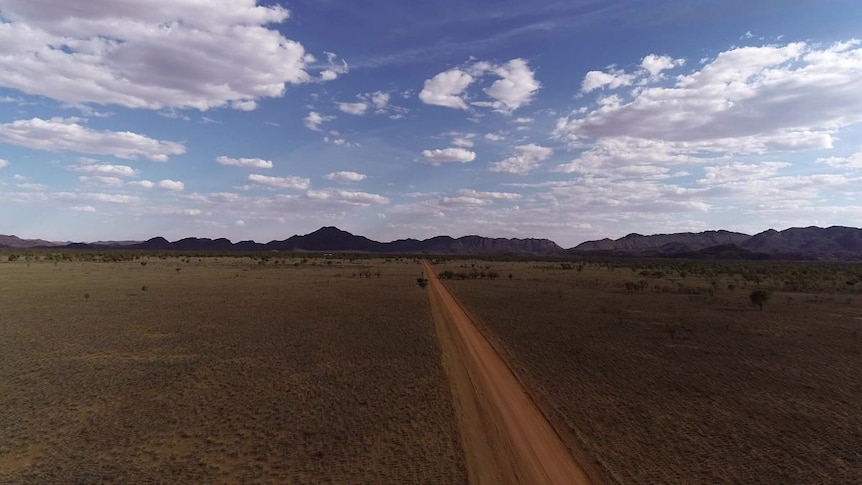 A dirt road disappearing into the horizon on a vast plan in the Northern Territory