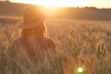 Woman with hat standing in her crop in the bright warm morning sun