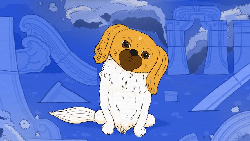 An illustration of a pekingese dog sitting, looking confused amidst smouldering ruins.