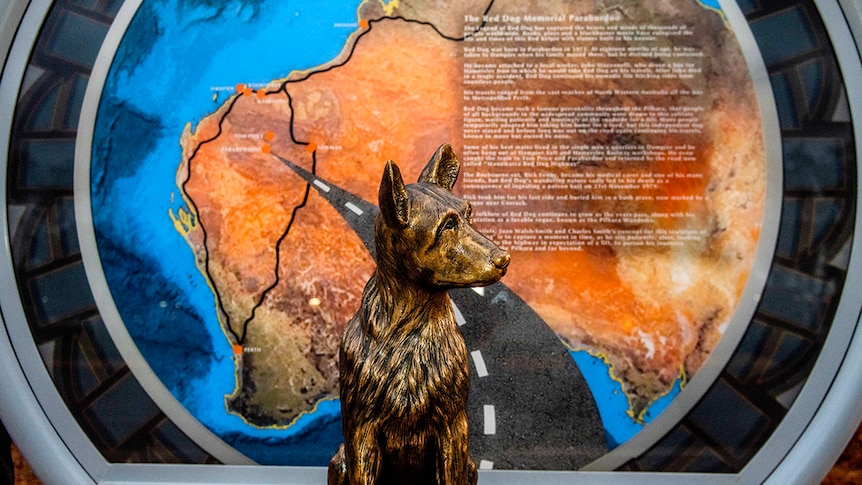 A bronze statue of a puppy in front of a map of Australia