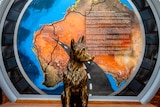 A bronze statue of a puppy in front of a map of Australia