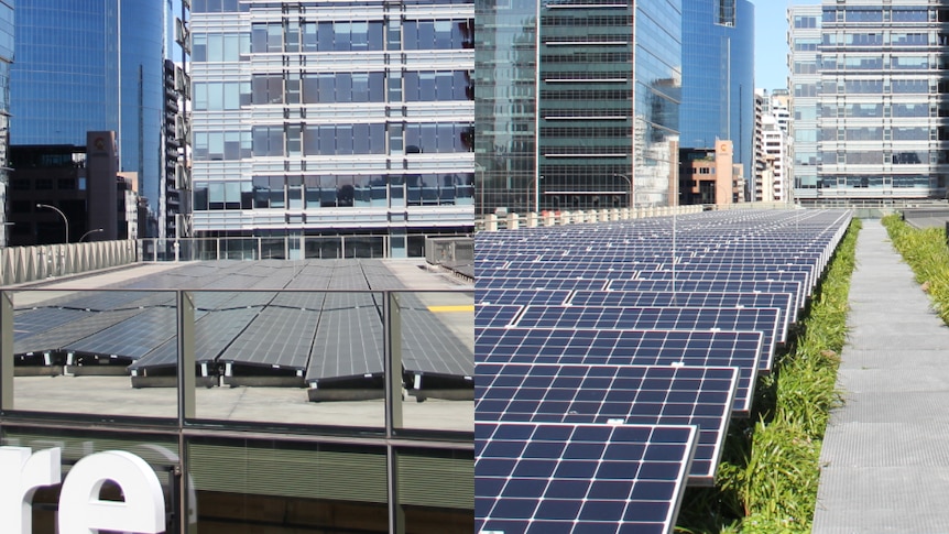 Two identical office buildings side by side in Sydney's Barangaroo provided a perfect opportunity for solar energy researchers to test a long-hel