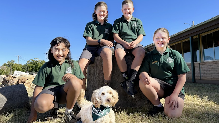 A group of children sit around a small white dog