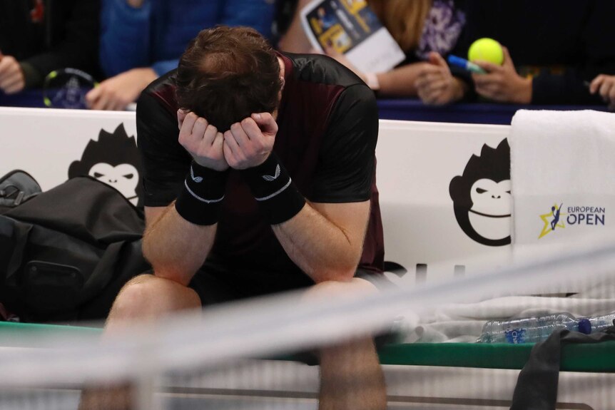 Andy Murray holds his head in his hands