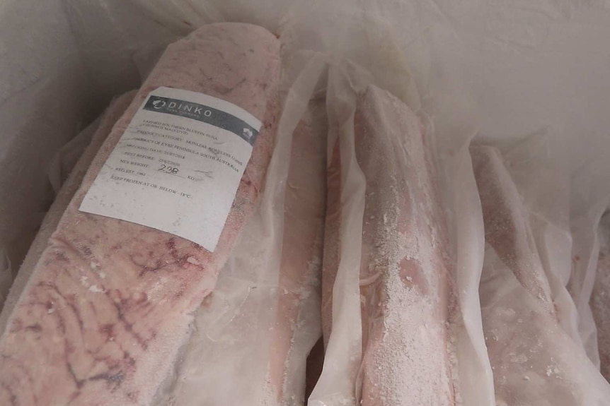 Picture of frozen tuna packed in plastic in freezer