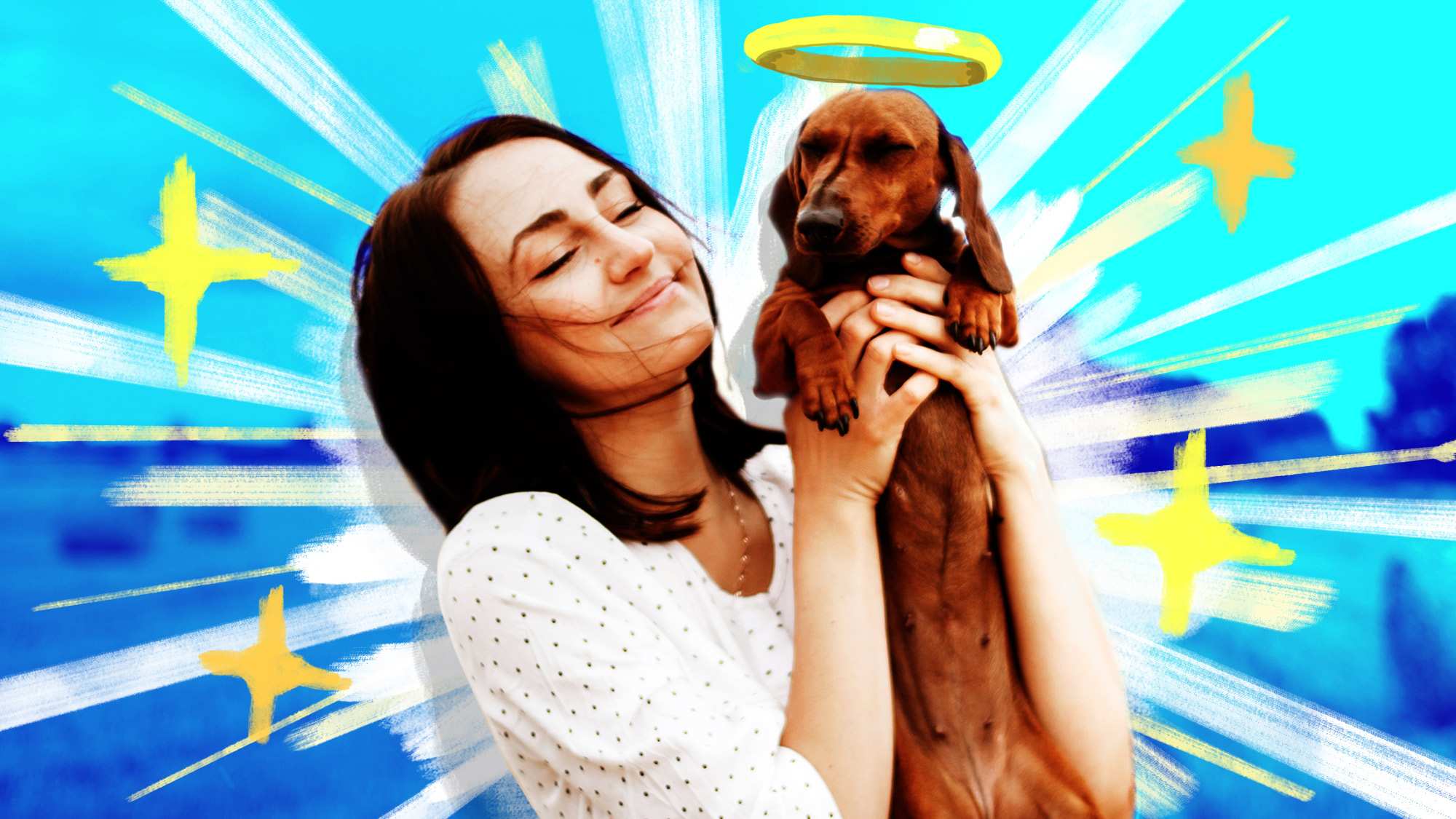 Woman holding up sausage dog with colourful illustrated background in a dog quiz.