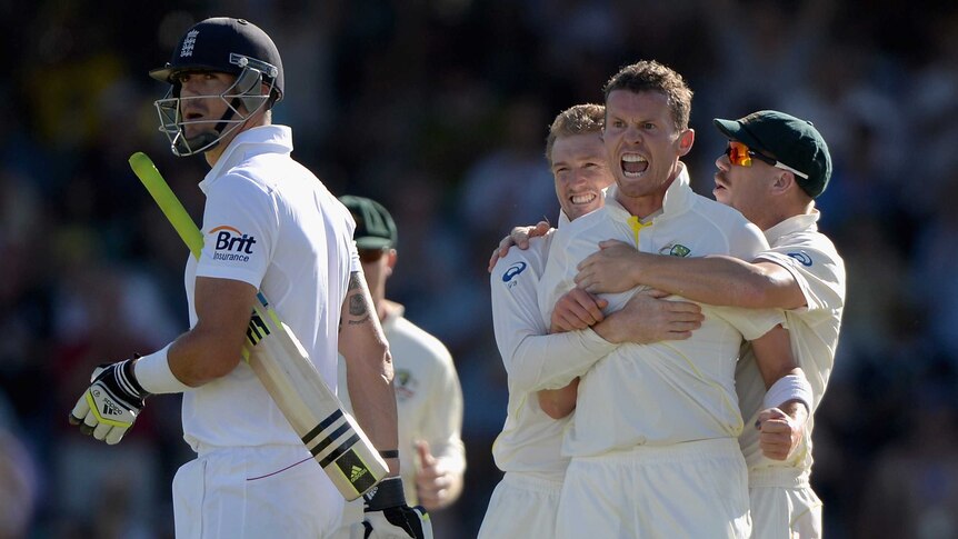 Australia's Peter Siddle celebrates the wicket of England's Kevin Pietersen at the WACA.