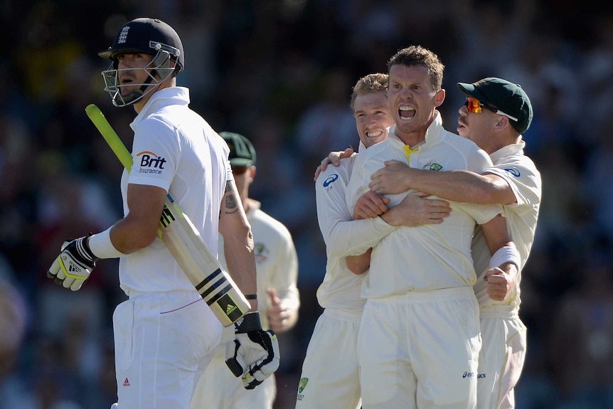 Australia's Peter Siddle celebrates the wicket of England's Kevin Pietersen at the WACA.