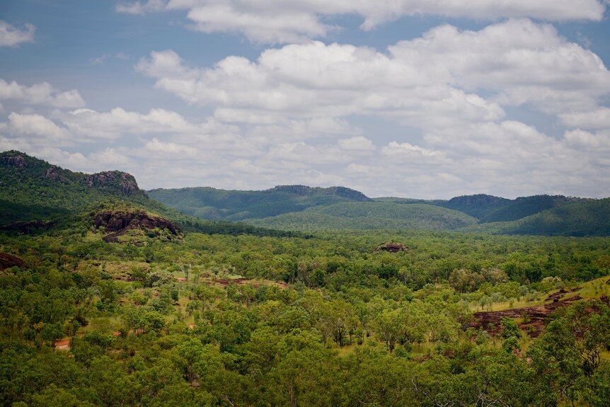 Looking out over Jawoyn country from Yurmikmik lookout in Kakadu National Park.