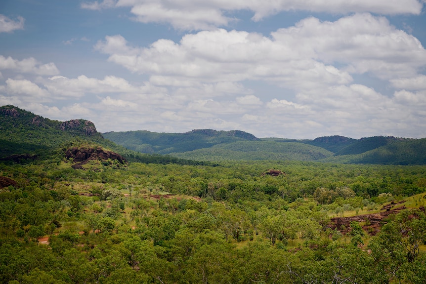 Looking out over Jawoyn country from Yurmikmik lookout in Kakadu National Park.