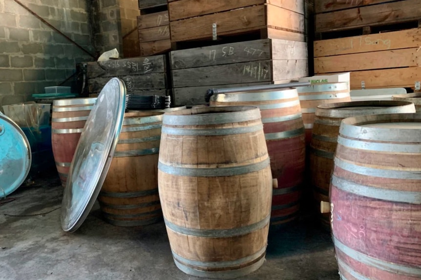 wine barrels in a basement.
