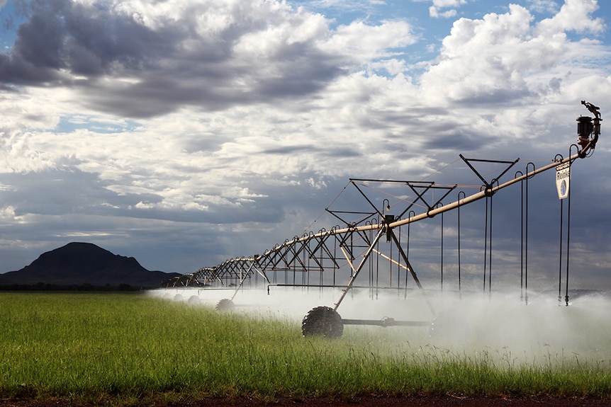 An irrigating machine sprays water onto a green paddock.