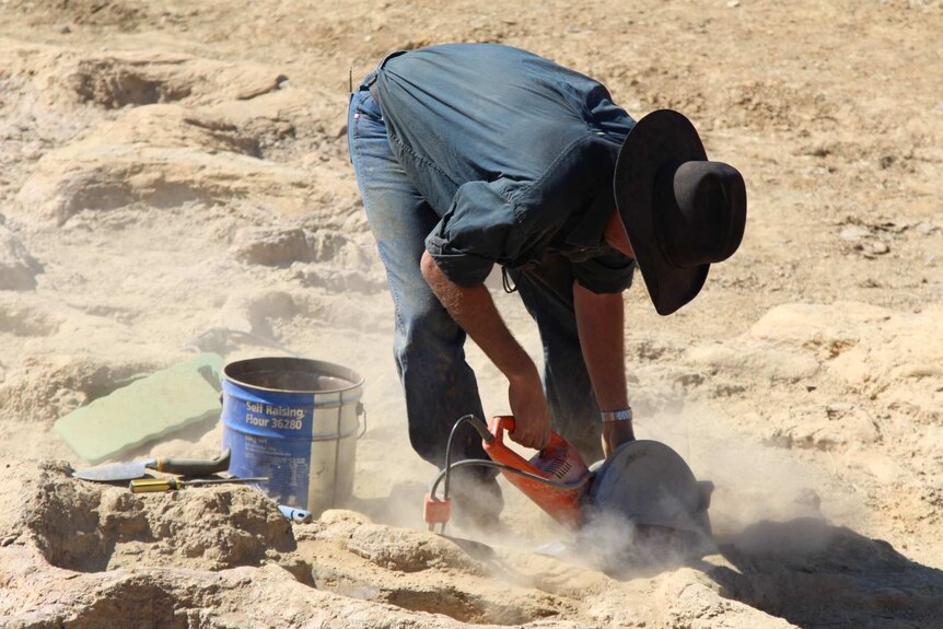 A man wearing an Akubra creates a dust cloud as he uses a power tool to cut under a dinosaur footprint.