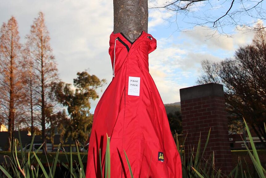 Red coat on a tree for Free On A Tree project in Hobart.