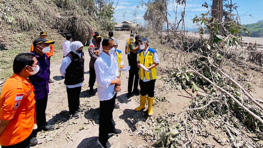 Several people wearing masks inspect an area covered in fallen trees
