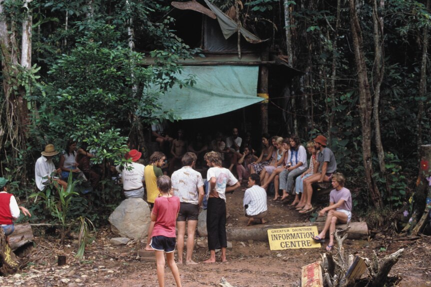 A group of people sit at a camp in the Daintree rainforest.