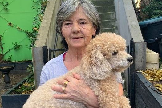 An older woman with silver hair holds a small poodle cross dog