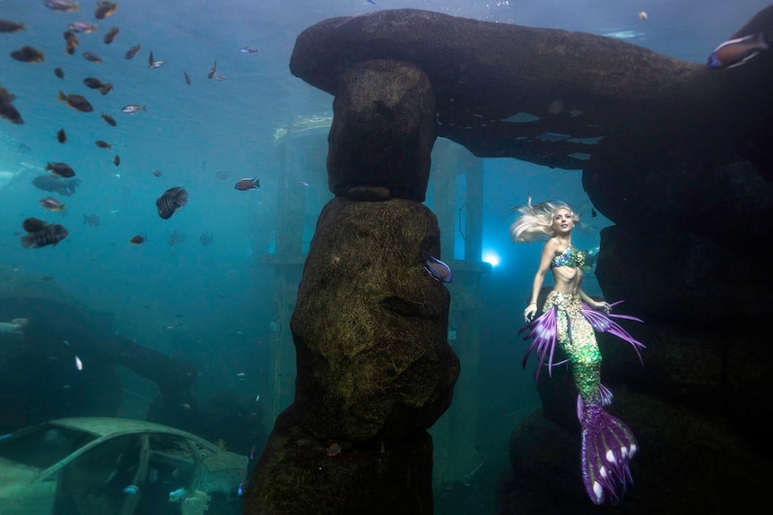 Woman in a mermaid costume floats vertically in front of a submerged pylon and a car wreck.