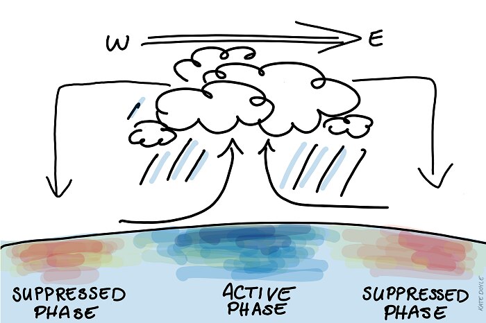 MJO active and suppressed phases