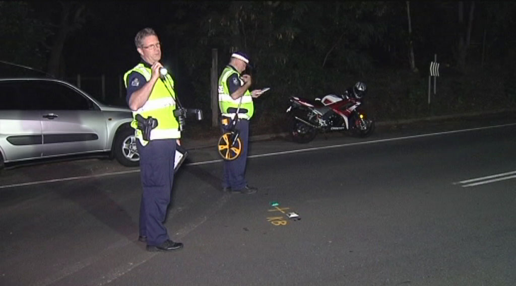 Good Samaritan hit by car while helping koala - ABC News