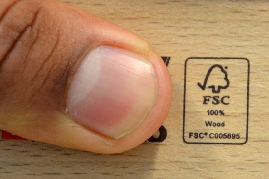 A closeup of the FSC certification stamp on timber.