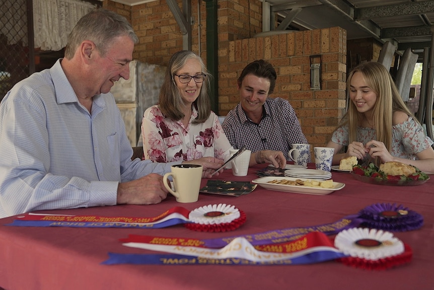 Lachie with his family admiring their haul of winning ribbons