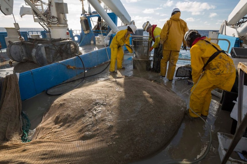 Scientists collect a net full of rubbish and mud from Australia's eastern abyss in June 2017