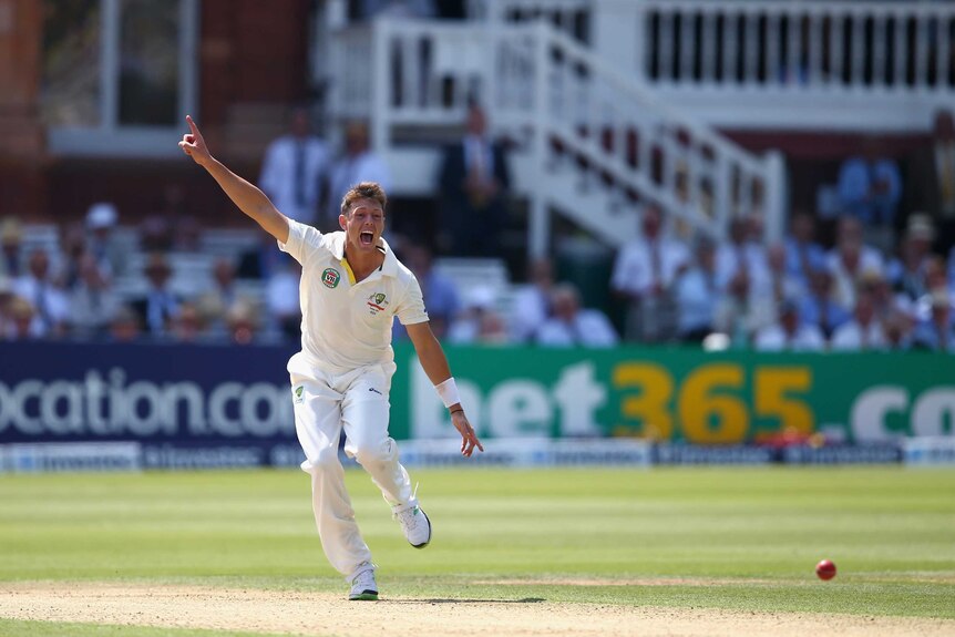 James Pattinson playing for Australia at the Ashes