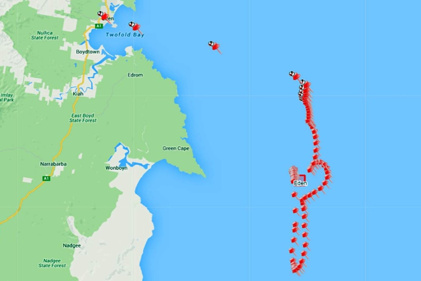 Map showing how the East Australian Current returned an adrift weather buoy to Twofold Bay, Eden.