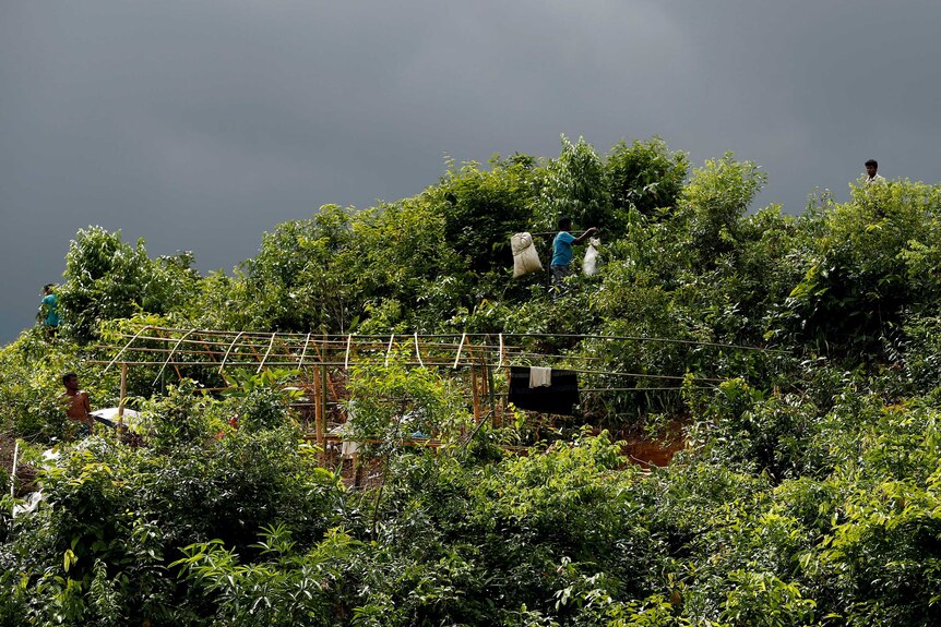 Refugees can be seen making makeshift shelter among thick greenery.