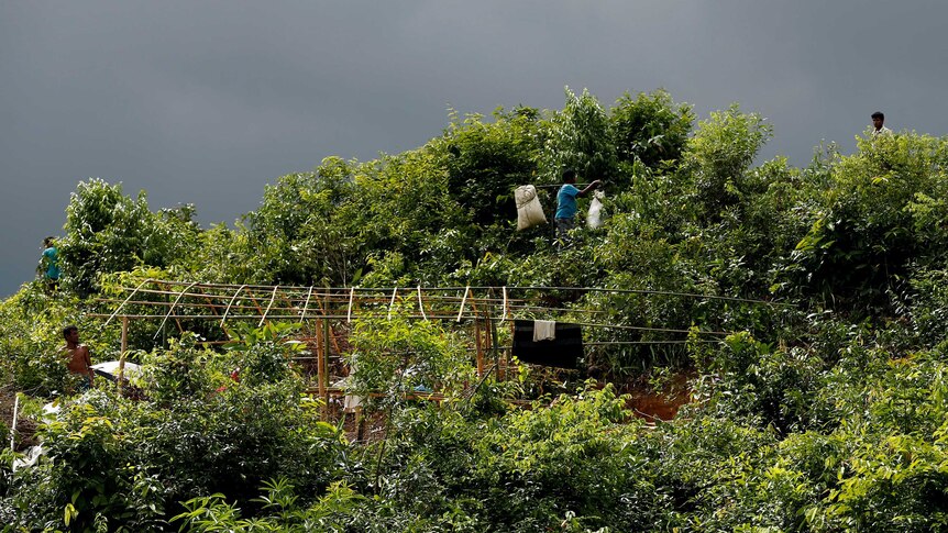 Refugees can be seen making makeshift shelter among thick greenery.