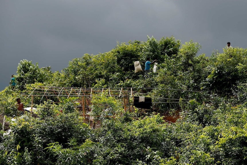 Refugees can be seen making makeshift shelter among thick greenery.