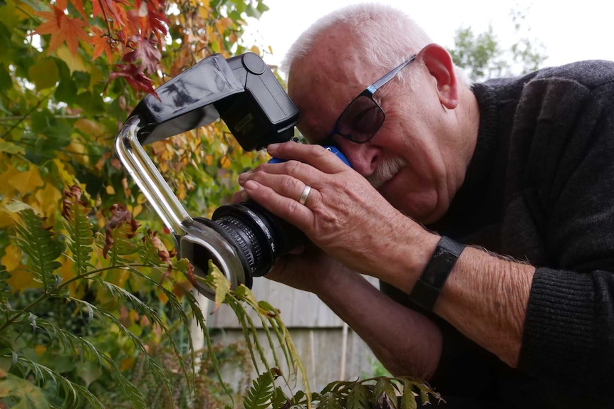 Man with camera with ring flash in a garden with autumn colours bending towards a left to take a close shot