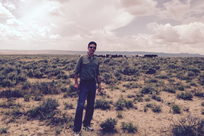 A man stands on open ground, surrounded by scrub and with cattle in the background.
