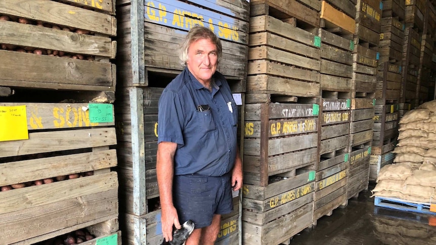 A man in a blue work shirt and shorts standing in front of pallets of potatoes.