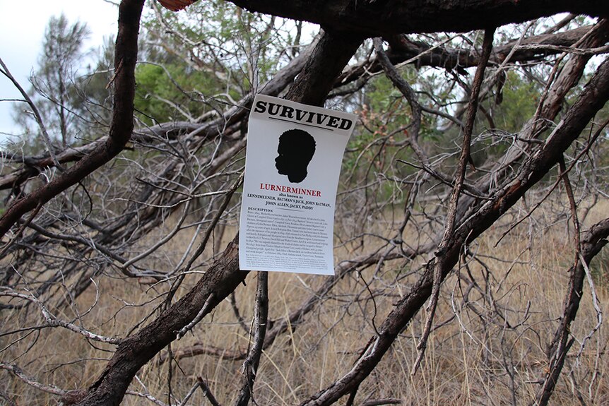 A poster on a tree which forms part of a Dark Mofo exhibition