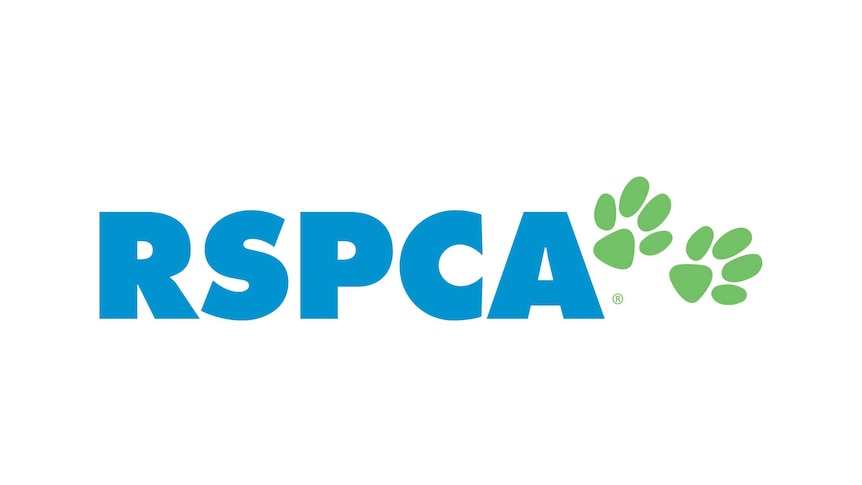 RSPCA logo