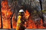 A NSW rural firefighter monitors back-burning near Mount Victoria.