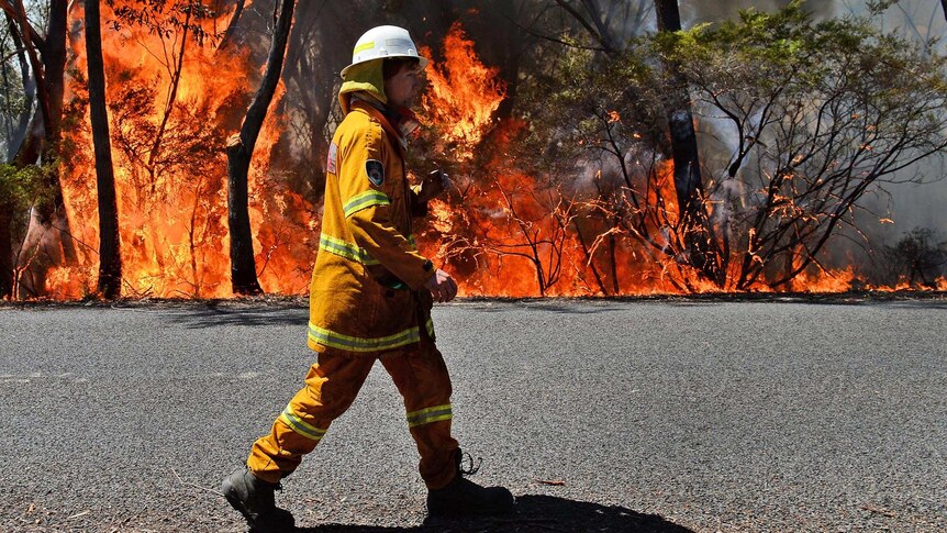 A NSW rural firefighter monitors back-burning near Mount Victoria in the Blue Mountains.