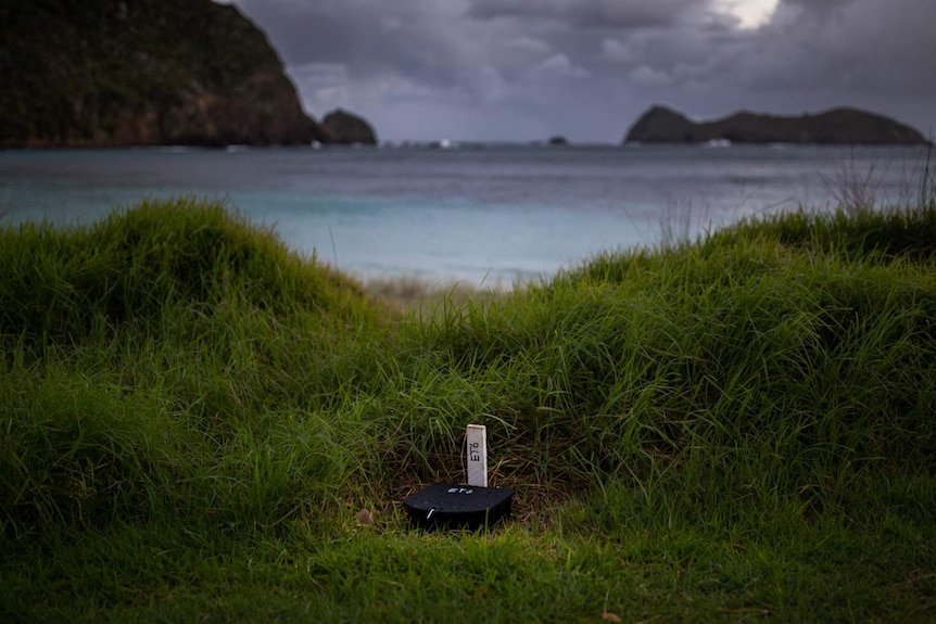 A small plastic box sitting in grass.