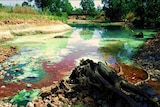 Copper contamination in the East Branch of the Finniss River
