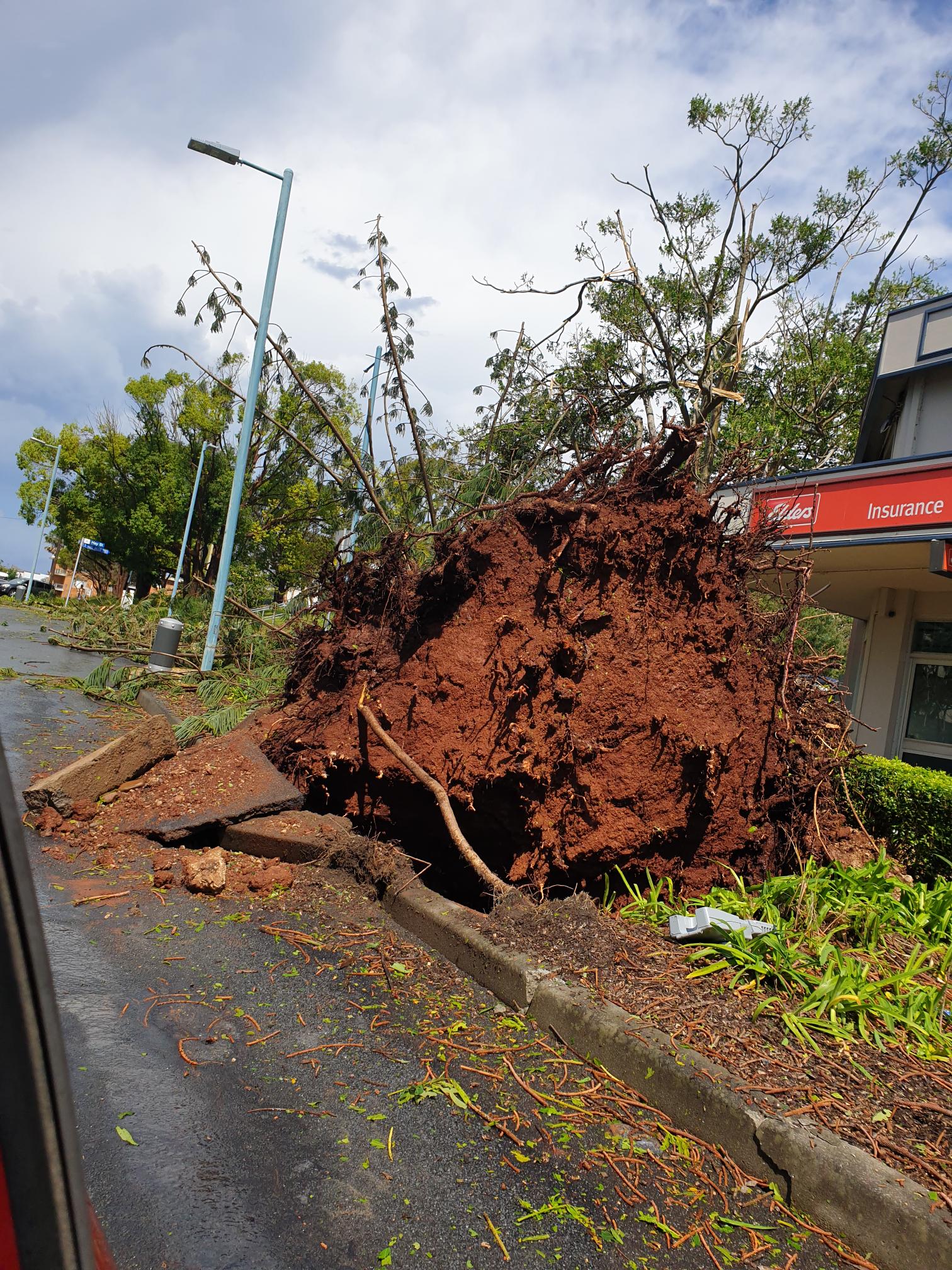 'Mini cyclone' rips through Port Macquarie, lifting roofs and bringing