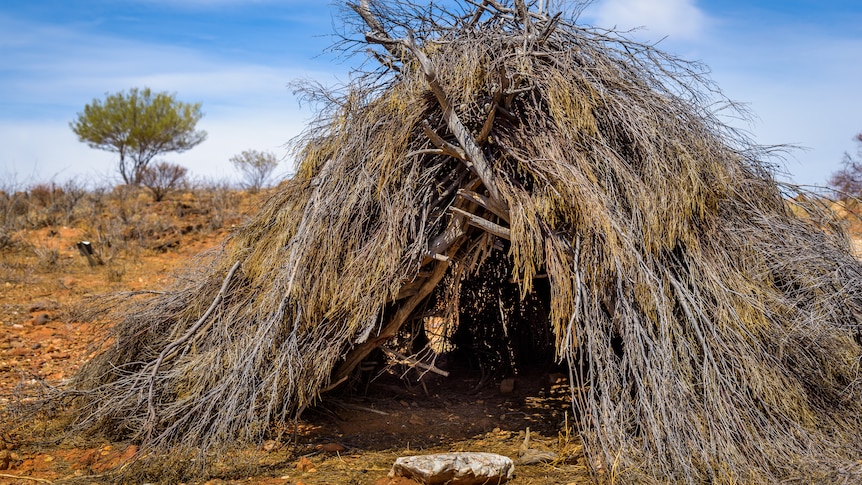 On a clear day, a traditional Indigenous shelter constructed of branches and dried shrubs sits on a red ochre landsc