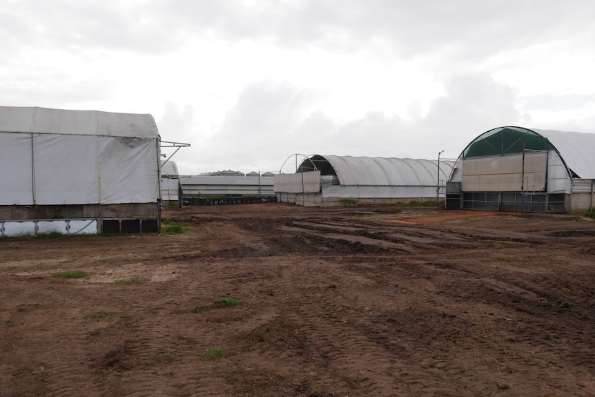 Several empty pig sheds.