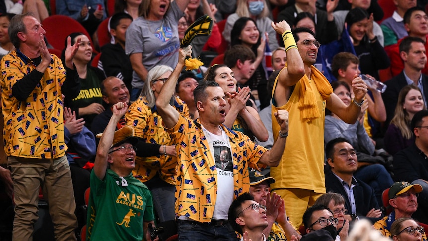 A crowd shot of fans in green and gold standing and cheering.