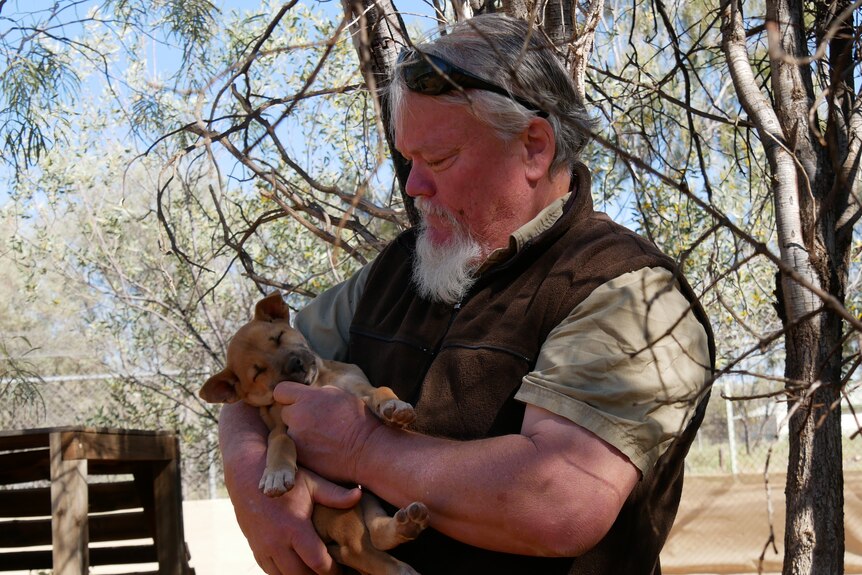 A man holds a sleeping tan-coloured puppy in his arms.